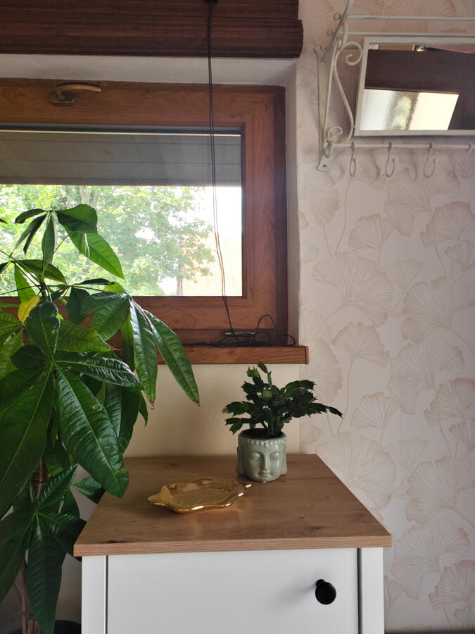 Studio Zen Rožnov vstup